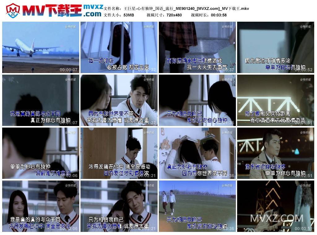 王巨星-心有独钟_国语_流行_ME901240